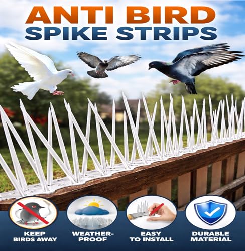 Image of XONOV Bird and Pigeon Spikes, Pigeon Control Spikes Anti Bird Plastic Spikes for AC Balcony Railing Window Home Protection from Pigeon Dog Monkey Crow Kabootar Transparent (Pack of 80 (13 Inch))