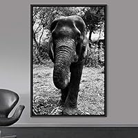 Framed Canvas Wall Art Duotone Elephants Animals Black and White Bohemian Duotone Elephants Expressive Grey Living Room Photography - 16x24 inches