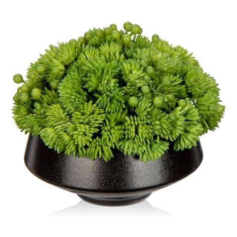 Hollyone 12CM Artificial Succulent in Ceramic Pot Cover