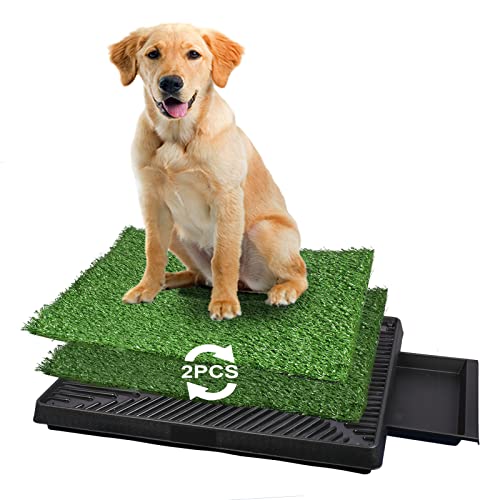 Grass Pad for Dogs Dog Grass Pad with Tray Puppy Turf Potty Reusable Training Pads for Indoor Outdoor Use 2 Artificial Grass Puppy Patch for Large and Small Pets Dog Litter Box 25 X 20  Cucciolini Doodles Grass pad for dogs dog grass pad with tray puppy turf potty reusable training pads for indoor outdoor use 2 artificial grass puppy patch for large and small pets dog litter box 25 x 20   cucciolini doodles
