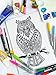 Owl Adult Coloring, Stretched primed canvas to color, Size – 8 x 12 Inches