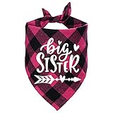 STMK
