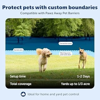 PetSafe Classic In-Ground Fence In Ground Cat Fence, Underground Dog Containment System Expandable Up to 5 Acres, Digital LCD Screen, 8 Different Collar Settings, Invisible, Pet Training