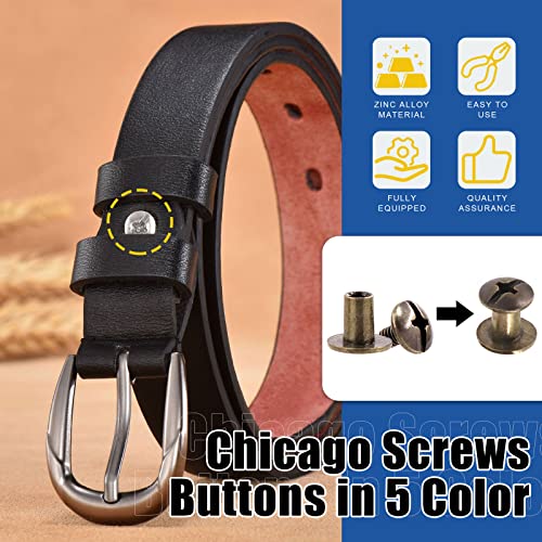 Glarks 150 Sets 8X6Mm Round Flat Head Chicago Screws 5 Color Leather Rivets Screw With Hole Punch And Screwdriver For Leather Crafting Clothing Shoes Belts Bags #TOP2
