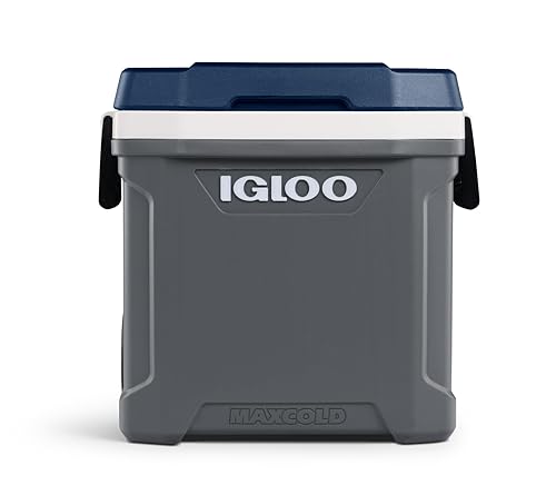 Igloo