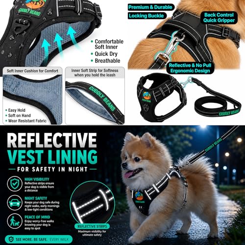 Image of Adjustable Padded Dog Harness with Leash | Comfortable Walking Harness for Small Dogs | Orange | XS | Suitable for Dogs 5-10 kg