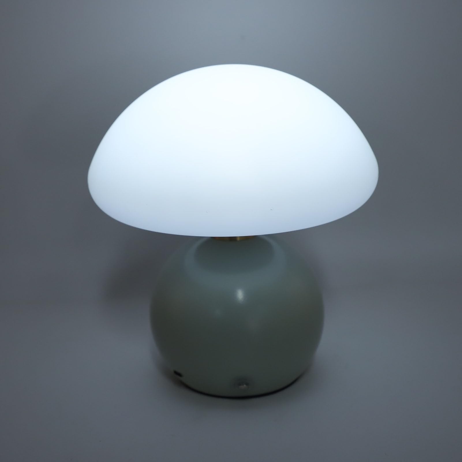 Wakects Lampada a Fungo a LED Lampada da Tavolo in PE e Ferro 3 Temperature di Colore Touch Control Dimmerazione Continua USB C da Comodino Ricaricabile da 2000 MAh per Scrivania da Camera da Letto