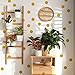 Gold Dots Wall Decals(200 Dots/2 Inch), Posh Polka Dots Wall Sticker for Girls Bedroom Playroom