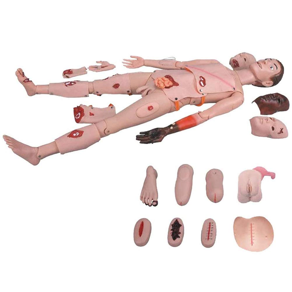 Patientenversorgungssimulator, Krankenpflegepuppe, multifunktionales Erste-Hilfe-Trauma, menschliches anatomisches Modell für die Krankenpflege, medizinische Ausbildung, naturwissenschaftliche Ausbild
