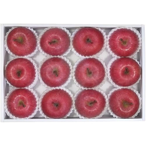 yΕMtg 2025z _Cʉ XY  (Ε̂)