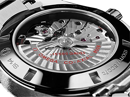 Omega Aqua Terra Mens Watch 231.10.42.21.01.0023