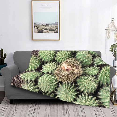 Couverture lit légère confortable microfibre douce EdWal - 5