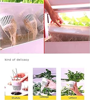 Hydroponic Growing System with Automated LED Grow Lights, Vertical Farming for Indoor Tower Garden, Intelligent Multi-layer Planter Soilless Cultivation Equipment, A Must for Every Gardener