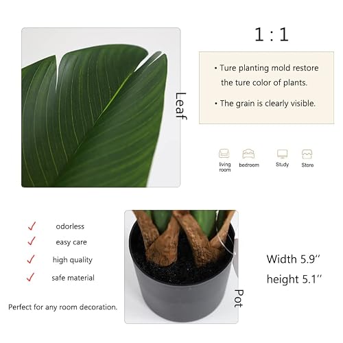 Momoplant 62 Inch Artificial Silk Bird Of Paradise Palm Tree Potted Plant Faux Greenery Tree For Indoor Outdoor Decoration 5.1Ft Feaux Plants #TOP1