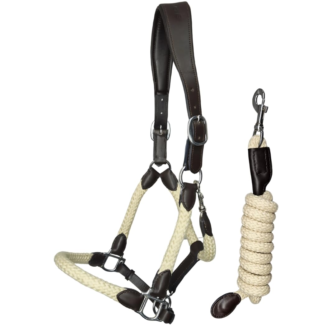 Licol cheval avec longe cheval - equitation cheval equipement - licol premium cuir et coton 100% - Têtière anatomique - Full Size (Beige)