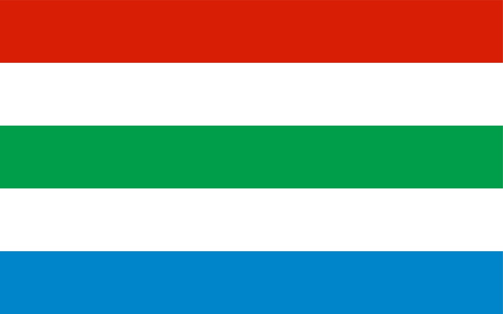 Drapeau Large POL Twardogóra Grand Format Pavillon Miasta