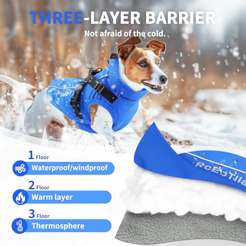 PcEoTllar Hundejacken Wasserdicht für Winter, Reflektierend Hundemantel mit Geschirr für Kleine Hunde, Welpe Warme Jacke Hundepullover, Hundejacke Winddichtes für Kaltes Wetter, Blau-M