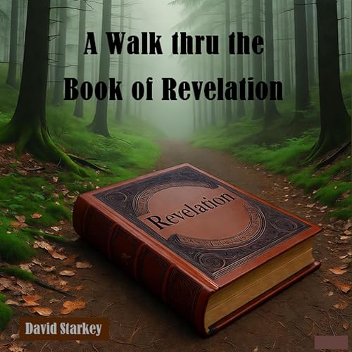 Page de couverture de A Walk Thru the Book of Revelation