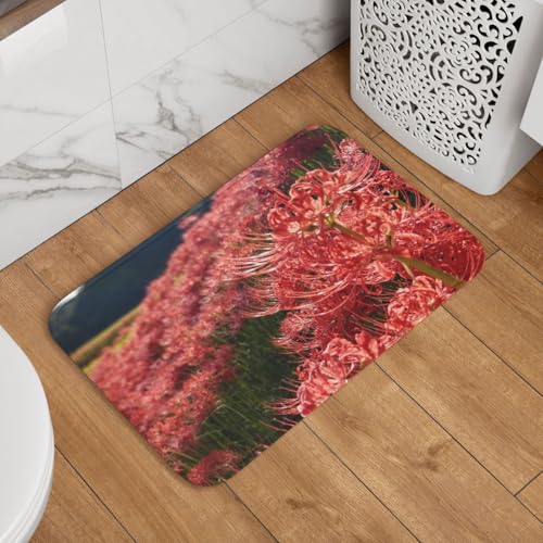 փ}bg ފ݉ ԕ hA}bg  O oX}bg  DƂ 􂦂 ~ @}bg  䏊 Q Ɩp lGʗp 60cm×40cm