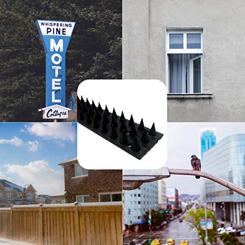 害獣よけ とげマット とげピー 猫よけ 犬よけ 蛇よけ 鼠よけ 鳩よけ 鳥よけ とげピー 鳩対策 フン害対策 防鳥グッズ 猫侵入脱走防止 ベランダ 屋上 窓枠用 園芸 菜園 天丼 屋根 10枚入 家装及园艺 园艺 防虫用品 花园覆盖网 Whenbuy Jchere Com