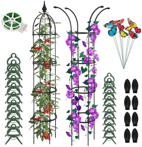 WellSign 2Pack 6.6ft Obelisk Trellis for Climbing Plants Outdoor ...