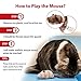 Gigwi Chirpy Cat Squeak Toy - Interactive Mouse Cat Toy with Melody Chaser for Kitten Play and Boredom Relief