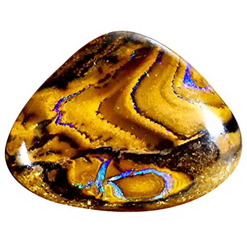 Opale rocheuse Koroit de 19x14mm pierre précieuse multicolore loose gemme d'Australie