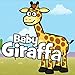 Baby Giraffa