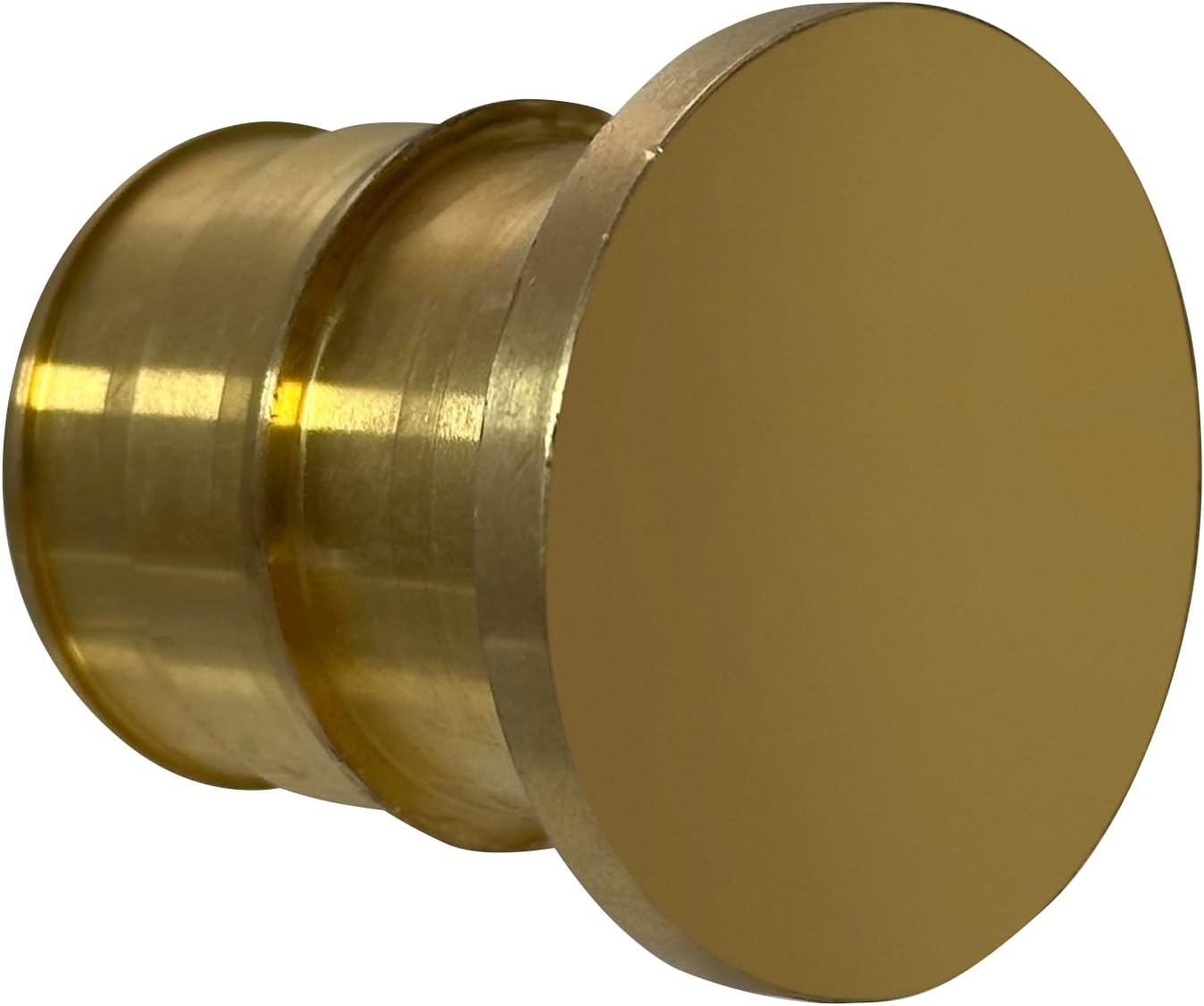 XFITTING Pex A 1 Inch Plug End Cap, 29-1-5=2XX, 2 Pieces
