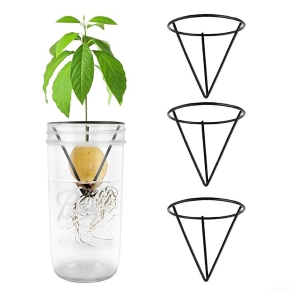 Base Triangular Metal Planta Crecimiento Raíces(3pcs)