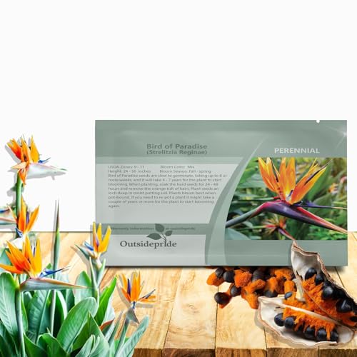 Outsidepride Bird of Paradise Seeds - 15 Pcs. Perennial, Versatile & Slow-Growing, Flower Seeds for Planting Exotic, Vibrant Mixed Bird-Shaped Blooms for Tropical & Pollinator Gardens