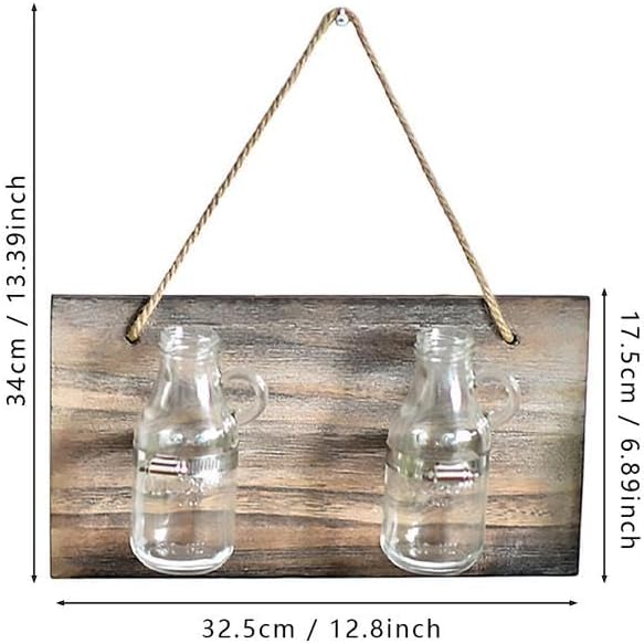 Wall Hanging Planter Glass Terrarium Propagation Stations 2 Flower Vases Hydroponics Bulb for Home Office Wall Decoration