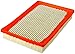 FRAM Extra Guard Engine Air Filter Replacement, Easy Install w/Advanced Engine Protection and Optimal Performance, CA8970 for Select Hyundai Vehicles