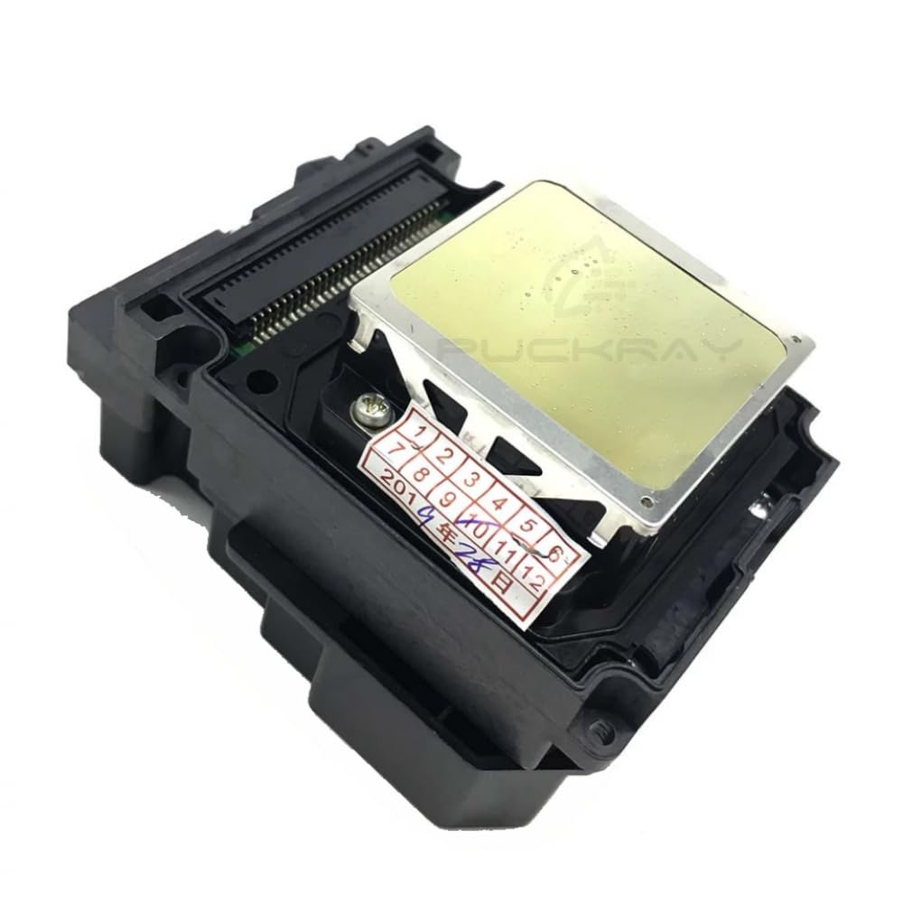 Cabezal de impresión Compatible con Impresora fotográfica en Color TX800 F192040 DX8 DX10 TX800 Nuocai Xuli