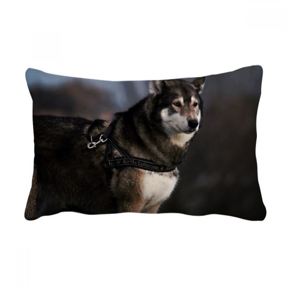 Coussin Husky oreiller de canapé multicolore et décoratif 16x24 pouces