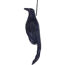 Lifelike Hanging Dead Crow, 12in PP Hanging Dead Bird Crow Scarer, Feathered Crows Decor, Realistic Simulation Crows Decoy With Black Feathers, Effective Bird Repellents For Garden Yard Farm Scaring