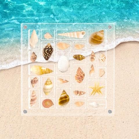 LUOHE Acrylic Magnetic Seashell Display Box, Clear Seashell Display Case, Sea Shell Storage Box, Small Craft Organizers Container for Jewelry, Diamond, Bead, Stones (14×14×1.6CM) Cover