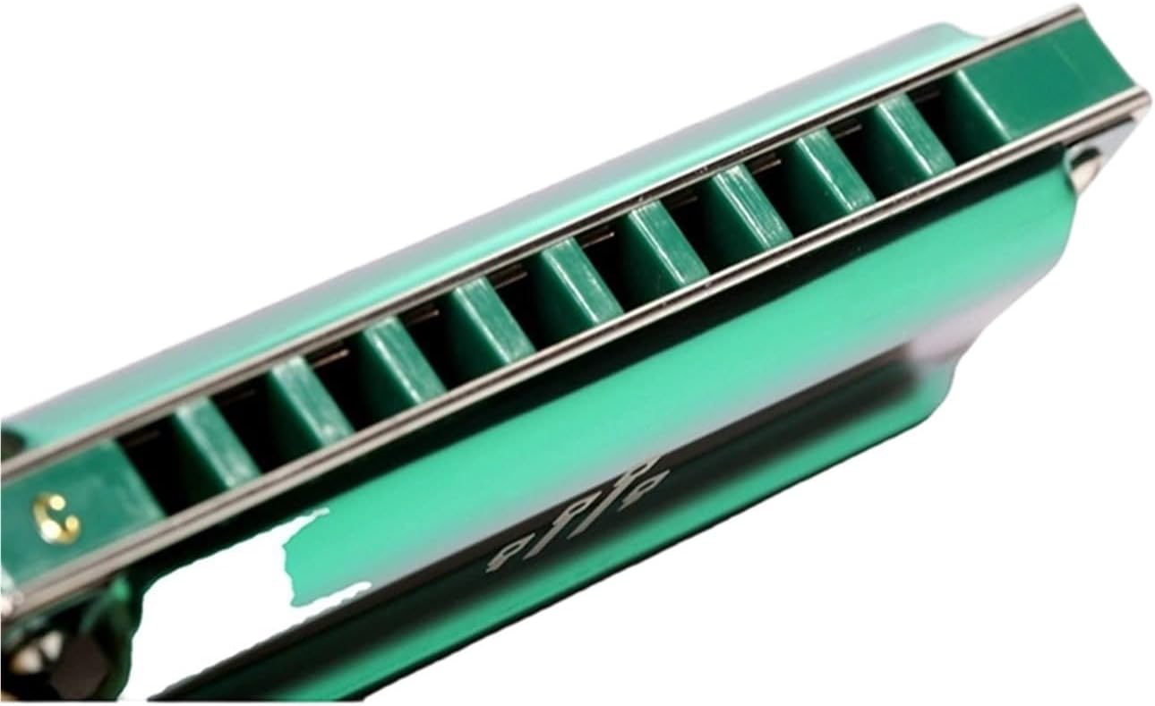 ブルースのプロハーモニカ指導パフォーマンス