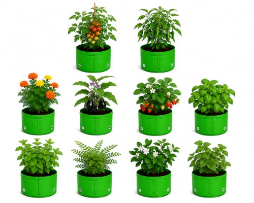 Image of Grow Bags for Terrace Gardening, Premium HDPE Green-Orange Large Planters for Fruit Trees, Vegetables, Flowers & Home Garden Pack of 10(6x6)