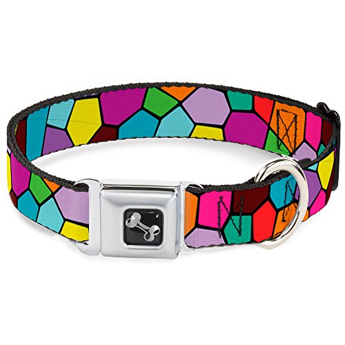 Collier de chien os multicolore pour les sorties en ville