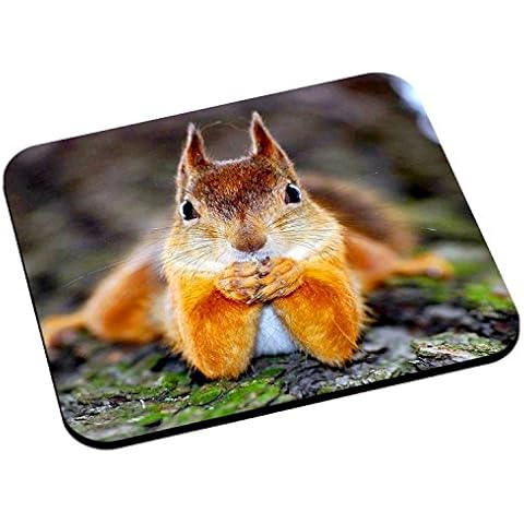 Tapis de Souris Fabulous Écureuil Cover