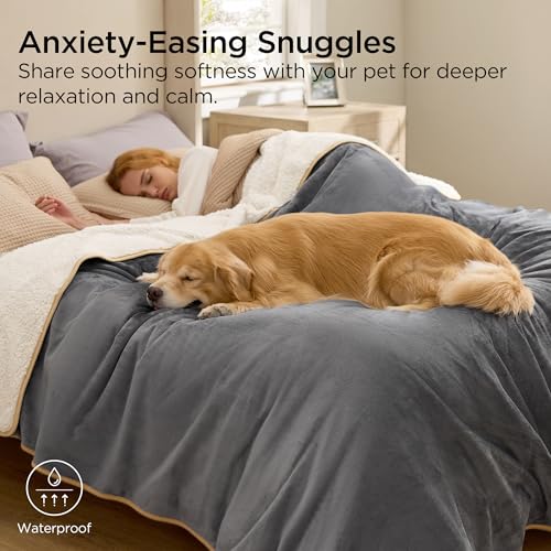Image of Bedsure Waterproof Blanket for Bed King Size (90 inchx86 inch) - Soft Sherpa Fleece Plush Reversible,Waterproof Dog Blankets for Large Dogs Pet, Couch Cover Furniture Protector, Grey