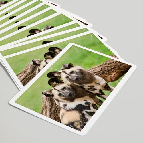 Naipes Poker African Wild Dogs 52 Cartas para Adultos miniatura 5