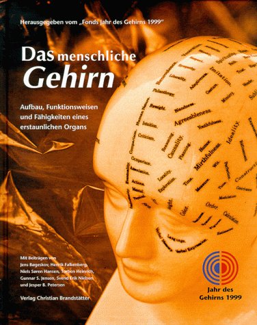 Das menschliche Gehirn