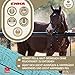 EMMA Teebaumöl Shampoo Pferd 500ml – Anti-Juckreiz Fellpflege pH-neutral – Pferdeshampoo gegen Schuppen & Geruch – mildes Shampoo für empfindliche Haut & Mähne Schweif – Hunde Katzen Shampoo