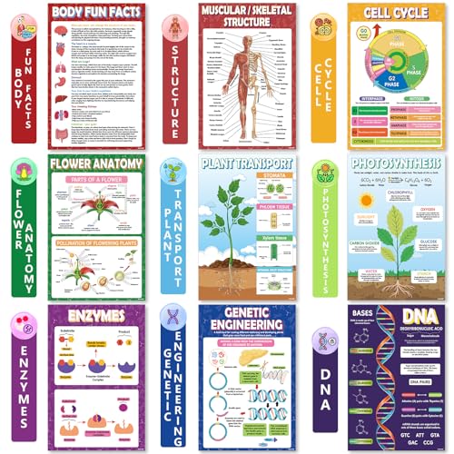 Image of KIDS KING 18 Learning Posters - Biology (11 inchx17 inch)