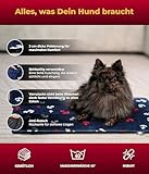 HS-Hundebett® Hundedecke XS (45x65 cm) – rutschfest & gemütlich Dank 3 cm Füllung – Perfekt fürs Sofa, Auto & Hundebox – Anker Blau, Made in DE