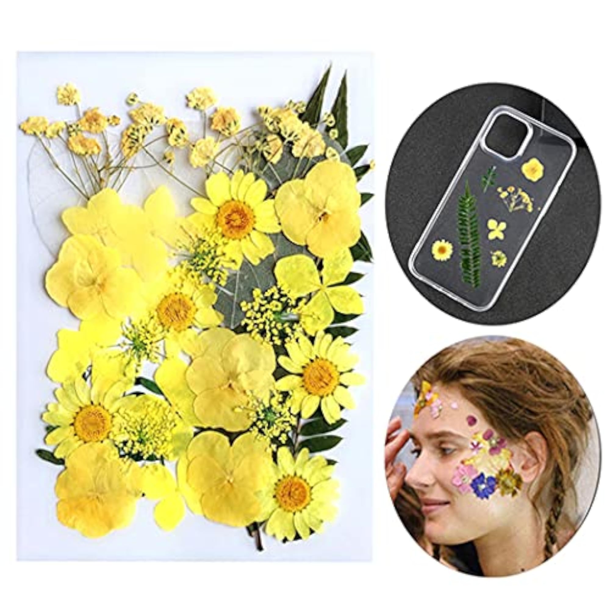 Real Dried Flower Set for Bookmark & Resin Nail Art