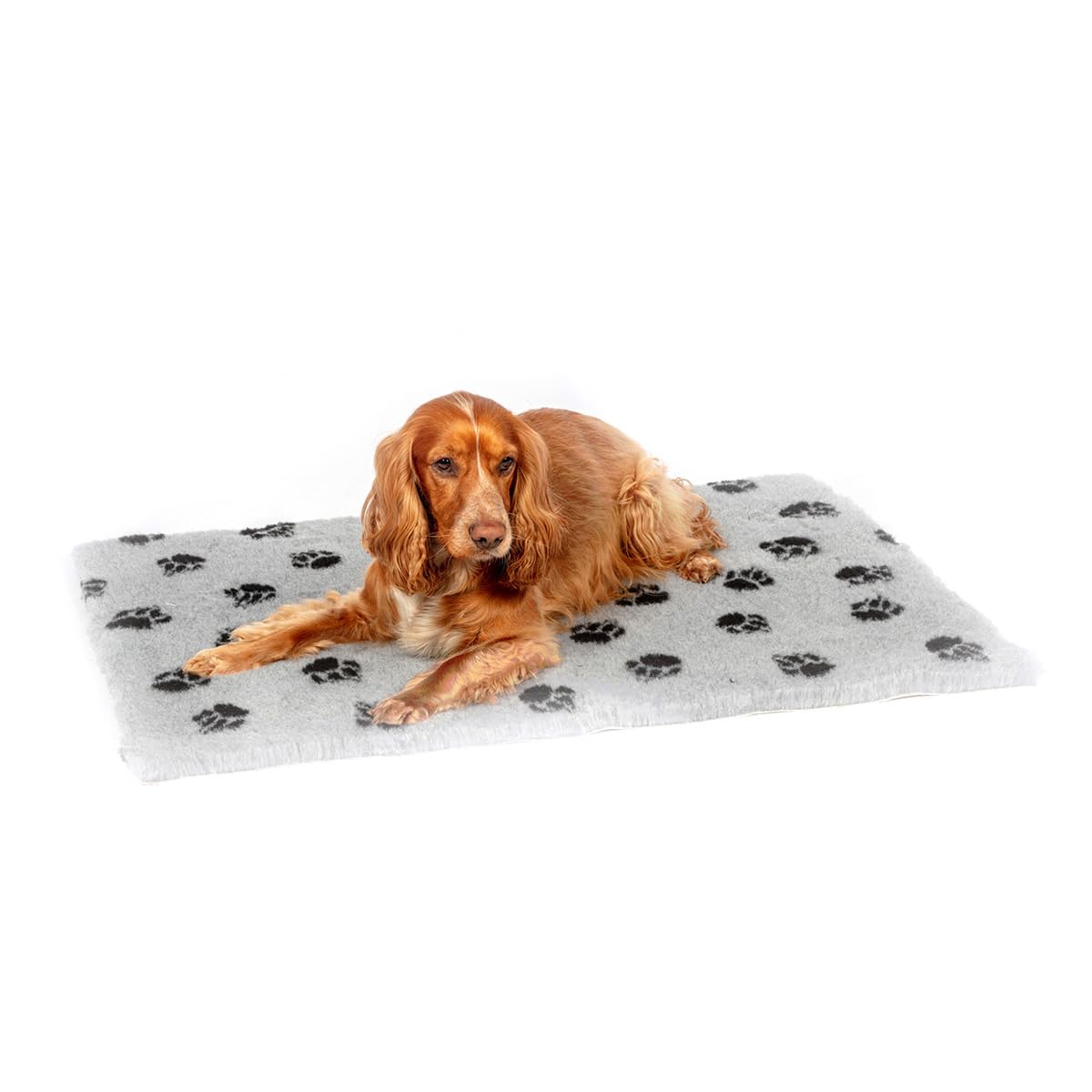 Danish Design Medium Dog/Cat Non Stick Rectangular Grey Paw Print Fleece 75 cmx50 cm, Small