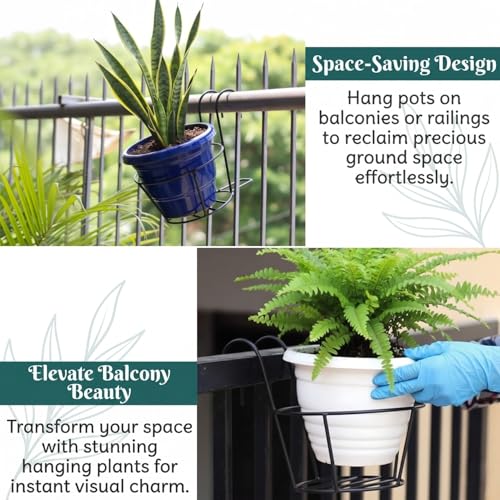 Image of Anti Rust Metal Hanging Planters for Balcony | Round Flowerpot Holder | Railing Planters, Fence Garden Flowerpot, Gamla, Flower Pots for Home and Garden (Black - Pack of 8)